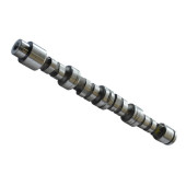 Распредвал <b>ASAM 80099</b>