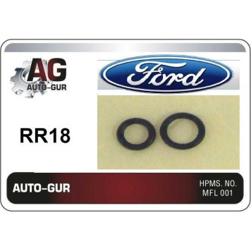 Кольцо уплотнительное комплект 2 штуки (качество оригинал) <b>AUTO-GUR RR18</b>