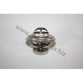 Термостат <b>AUTOMEGA 160032710</b>