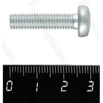 Винт М6*25 <b>БелЗАН 13276601</b>