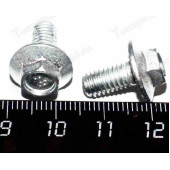 Болт М6*12 с зубчатым буртиком <b>БелЗАН 13836021</b>