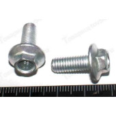 Болт М6*16 радиатора с буртиком <b>БелЗАН 13836421</b>