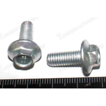 Болт М6*16 радиатора с буртиком <b>БелЗАН 13836421</b>