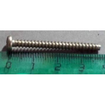 Саморез 3.6*38.1 с цилиндрической головкой <b>БелЗАН 17669705</b>