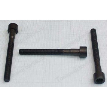 Болт М10*98*1,25 головки блока ВАЗ 2110 (внутр. шестигр.) <b>БелЗАН 21120-1003271-008 2</b>