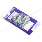 Болт М12*24*1,5 колесный Vesta,X-Ray ключ 17 цинк блистер <b>БЕЛЗАН кт32</b>