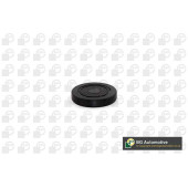 Заглушка оси коромысла REN CLIOESPACELAGUNAMEGANEDAC LOGAN 1.4-2.0 99- (52.5X57X10.6) <b>BGA PL4601</b>