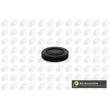 Заглушка оси коромысла REN CLIOESPACELAGUNAMEGANEDAC LOGAN 1.4-2.0 99- (38.5X43.3X8.8) <b>BGA PL4602</b>