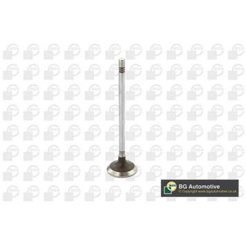 Клапан 30x6x120.4 ive daily ii 2.3jtd 02 in <b>BGA V229199</b>