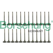 Клапан впускной и выпускной (комплект) <b>BORSEHUNG B18639</b>