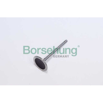 Клапан впускной <b>BORSEHUNG B19017</b>