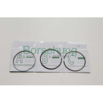 Кольца поршневые (к-т на поршень) <b>BORSEHUNG B19039</b>