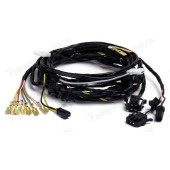 Жгут проводов задней двери багажника ВАЗ 2194 <b>CARGEN 2194-3724558</b>