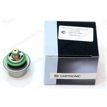 Регулятор давления топлива ВАЗ 1118 Cartronic KSPR-234 (на модуль бензонасоса) <b>CARTRONIC, КНР KSPR-234 Ctr</b>
