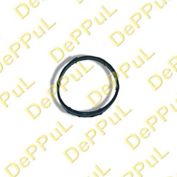 Прокладка впускного коллектора <b>DEPPUL DEBZ0044</b>
