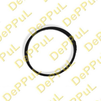 Прокладка впускного коллектора <b>DEPPUL DEVK056</b>