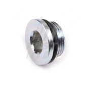 Пробка поддона сливная Fiat Ducato RUS (250) 06->2.3 PSA <b>FAST FT94713</b>