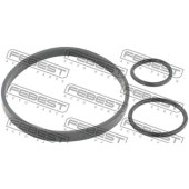 Кольцо уплотнительное масляного фильтра комплект RENAULT MEGANE 02-08 <b>FEBEST RINGOL-039-KIT</b>