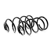 Комплект пружин (2шт) Ford Focus C-Max передние <b>FOBOS 13455</b>