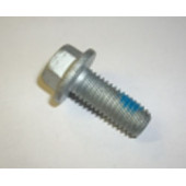 Болт, M10х25мм (кронштейна заднего тормозного суппорта) <b>FORD 1471746</b>