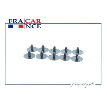 Пистон (10 шт.) RENAULT <b>FRANCECAR FCR211165</b>