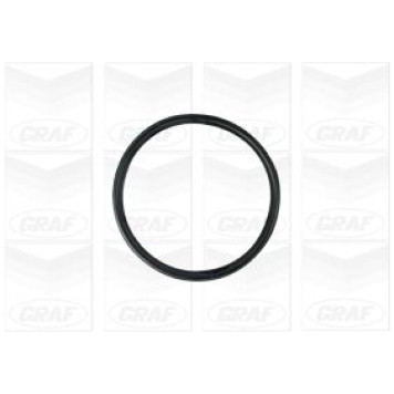 Насос водяной <b>GRAF PA1355</b>