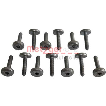 Винт, масляный поддон автоматической коробки передач <b>METZGER 8029025</b>