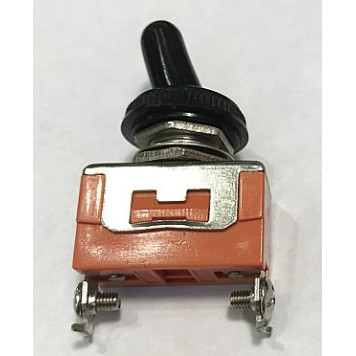 Тумблер 2 положения 15А 2-хконтактный с влагозащитным колпаком -1