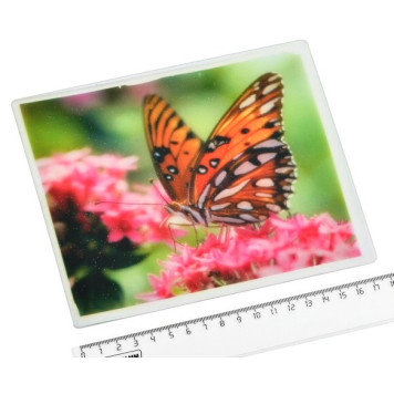 Коврик противоскользящий 18х15 см с рисунком в ассортименте-1