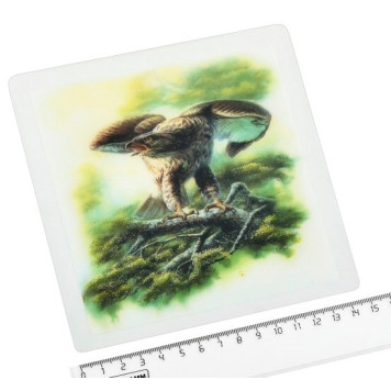 Коврик противоскользящий 18х15 см с рисунком в ассортименте-2