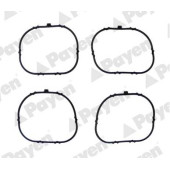 Прокладка впускного коллектора <b>PAYEN JD6091</b>