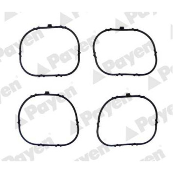 Прокладка впускного коллектора <b>PAYEN JD6091</b>