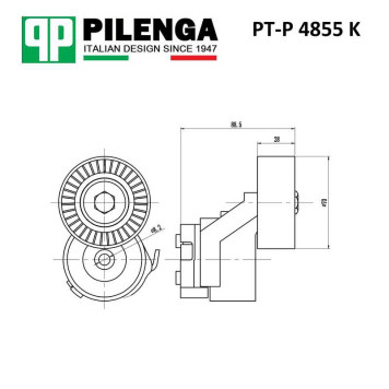 Натяжитель ремня приводного в сборе DUCATO, DAILY <b>PILENGA PT-P4855K</b>-1