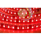 Лента светодиодная  SMD3528  120LED/м, IP65,  красный (цена за 10см)