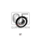 Ролик натяжителя <b>QUATTRO FRENI QF00100136</b>