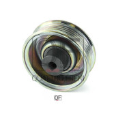 Ролик натяжителя <b>QUATTRO FRENI QF00100195</b>