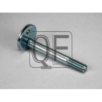 Болт с эксцентриком <b>QUATTRO FRENI QF00X00006</b>