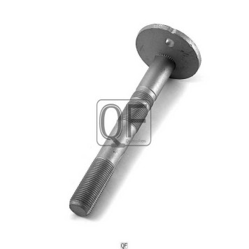 Болт с эксцентриком <b>QUATTRO FRENI QF00X00010</b>
