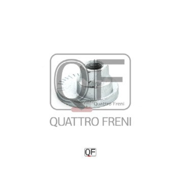 Гайка с эксцентриком <b>QUATTRO FRENI QF00X00017</b>