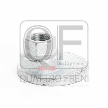 Гайка с эксцентриком <b>QUATTRO FRENI QF00X00019</b>-1