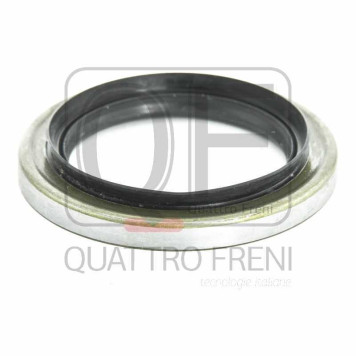 Сальник ступичный задний 57X81X8X11 <b>QUATTRO FRENI QF00Y00012</b>-1