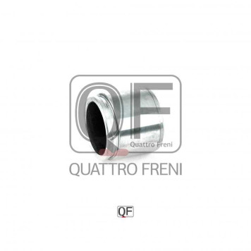 Поршень тормозного суппорта переднего <b>QUATTRO FRENI QF00Z00116</b>-2