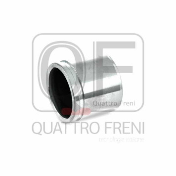 Поршень тормозного суппорта переднего <b>QUATTRO FRENI QF00Z00119</b>-1