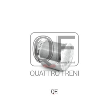 Поршень тормозного суппорта заднего <b>QUATTRO FRENI QF00Z00133</b>