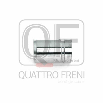 Поршень тормозного суппорта заднего <b>QUATTRO FRENI QF00Z00144</b>-1