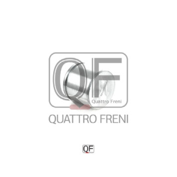 Поршень тормозного суппорта переднего <b>QUATTRO FRENI QF00Z00145</b>
