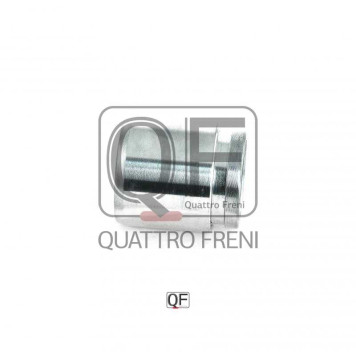 Поршень тормозного суппорта заднего <b>QUATTRO FRENI QF00Z00147</b>-2