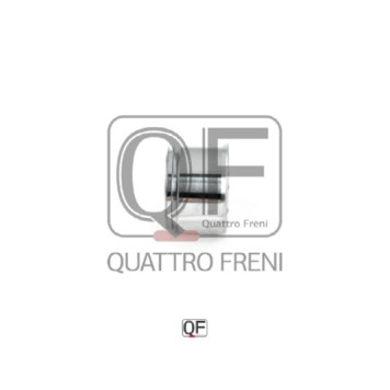 Поршень тормозного суппорта переднего <b>QUATTRO FRENI QF00Z00150</b>