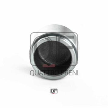Поршень суппорта <b>QUATTRO FRENI QF30F00000</b>-3