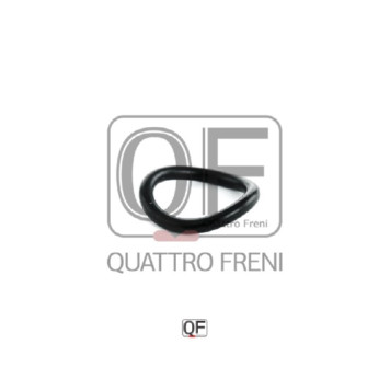 Кольцо уплотнительное свечного колодца <b>QUATTRO FRENI QF53A00001</b>